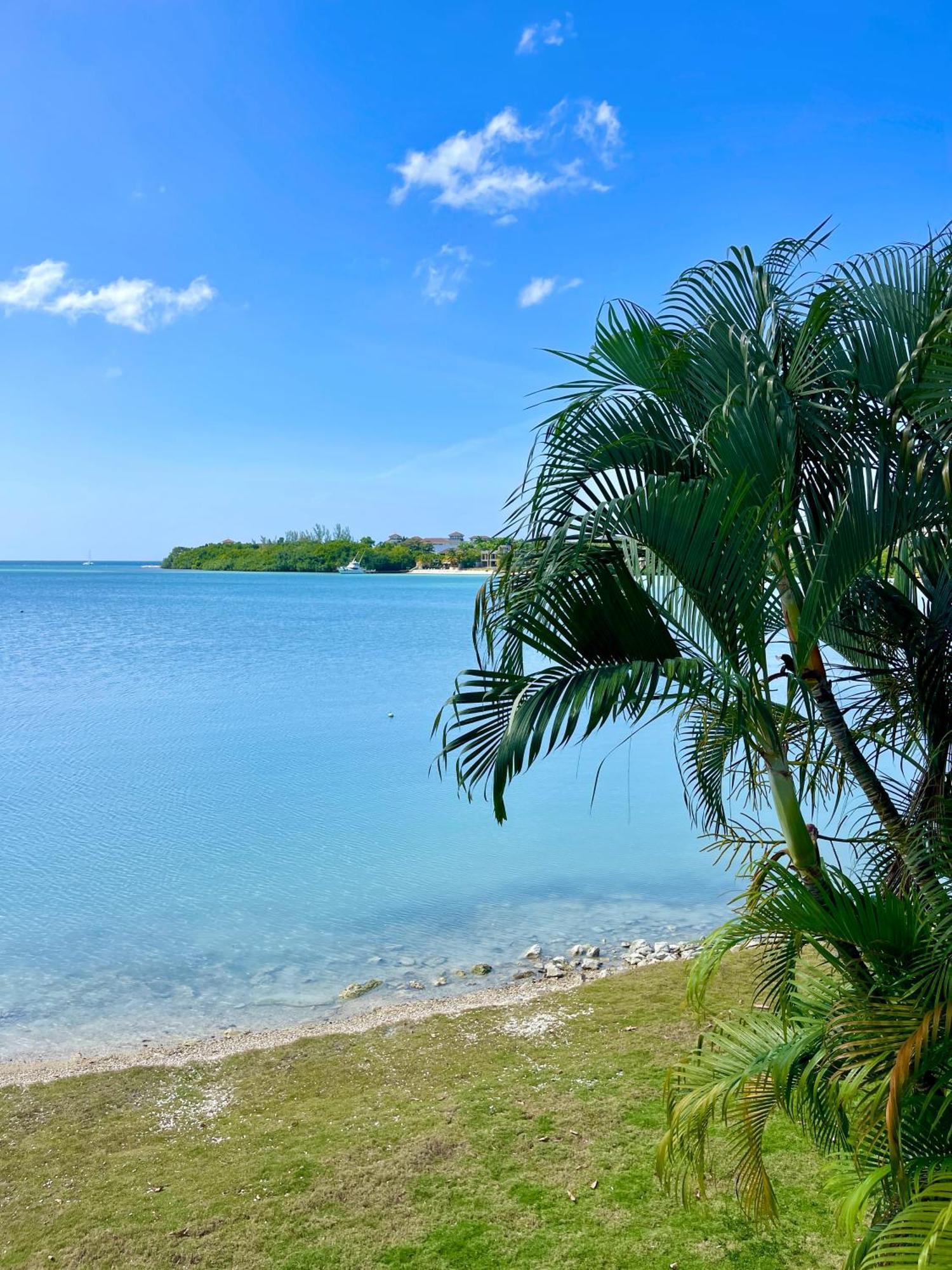 Luxury Apartments And Rooms,The Lagoons Montego Bay Exteriör bild